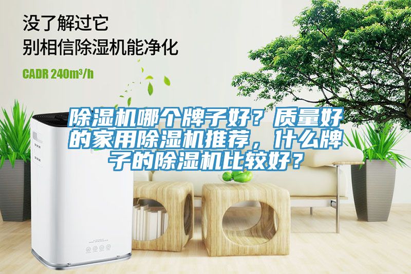 除濕機(jī)哪個(gè)牌子好？質(zhì)量好的家用除濕機(jī)推薦，什么牌子的除濕機(jī)比較好？