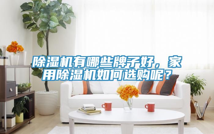 除濕機(jī)有哪些牌子好，家用除濕機(jī)如何選購呢？