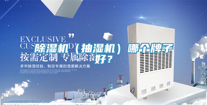 除濕機（抽濕機）哪個牌子好？