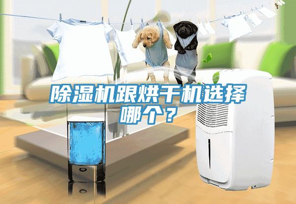 除濕機(jī)跟烘干機(jī)選擇哪個(gè)？