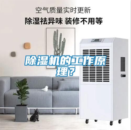 除濕機的工作原理？