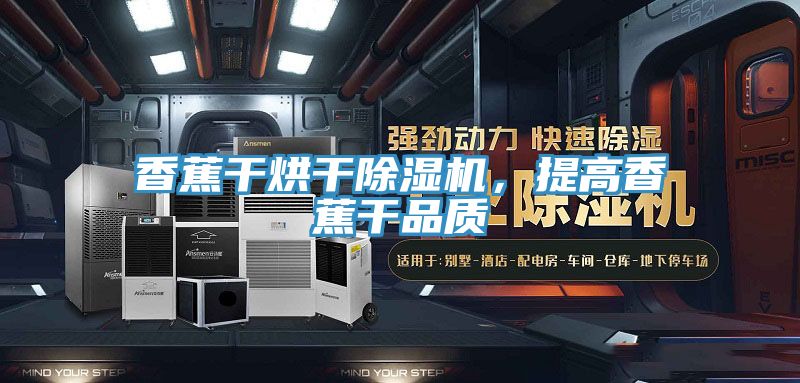 香蕉干烘干除濕機(jī)，提高香蕉干品質(zhì)