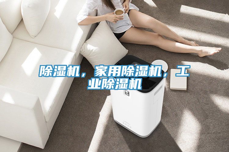 除濕機，家用除濕機，工業(yè)除濕機