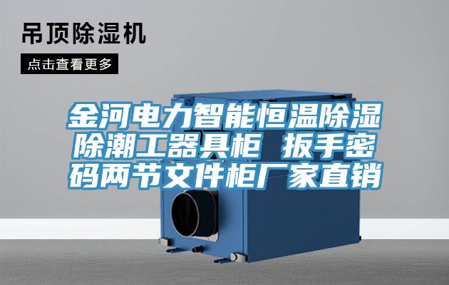 金河電力智能恒溫除濕除潮工器具柜 扳手密碼兩節(jié)文件柜廠(chǎng)家直銷(xiāo)