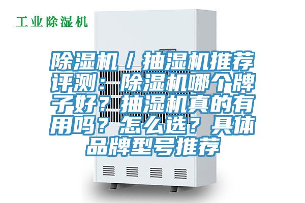 除濕機／抽濕機推薦評測：除濕機哪個牌子好？抽濕機真的有用嗎？怎么選？具體品牌型號推薦