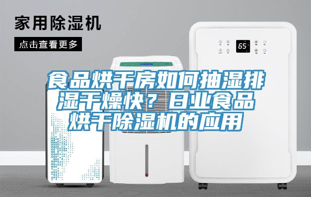 食品烘干房如何抽濕排濕干燥快？日業(yè)食品烘干除濕機(jī)的應(yīng)用