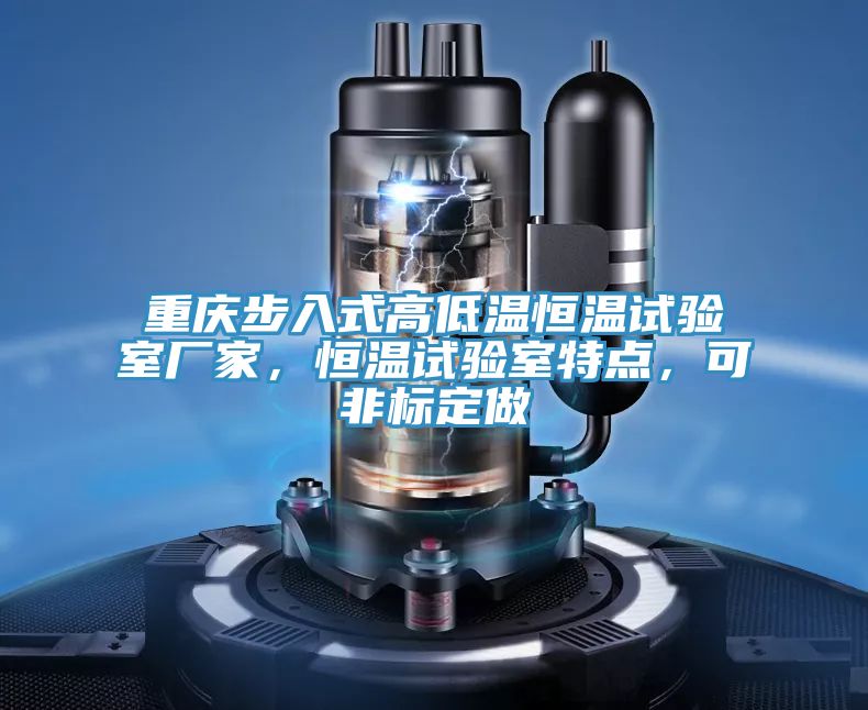 重慶步入式高低溫恒溫試驗室廠家，恒溫試驗室特點，可非標定做