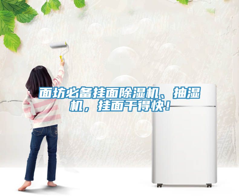 面坊必備掛面除濕機、抽濕機，掛面干得快！