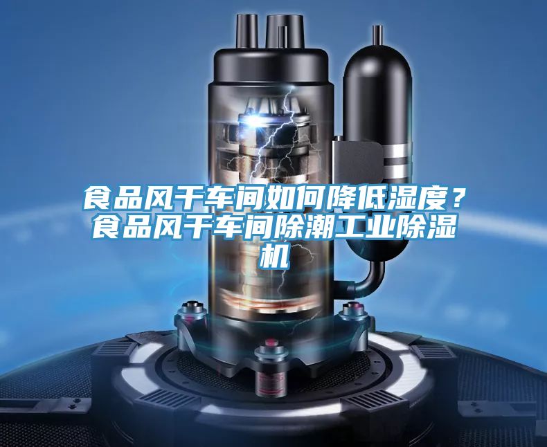 食品風(fēng)干車(chē)間如何降低濕度？食品風(fēng)干車(chē)間除潮工業(yè)除濕機(jī)
