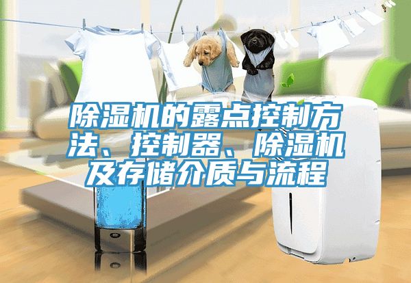 除濕機的露點控制方法、控制器、除濕機及存儲介質與流程