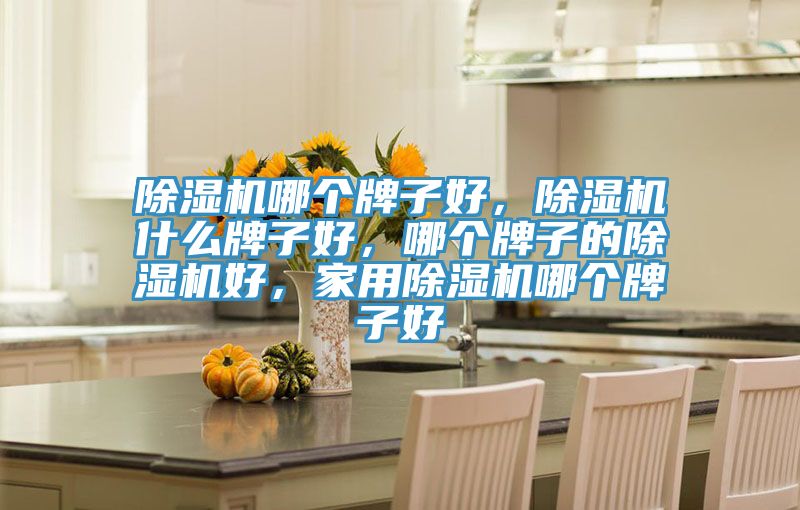 除濕機(jī)哪個(gè)牌子好，除濕機(jī)什么牌子好，哪個(gè)牌子的除濕機(jī)好，家用除濕機(jī)哪個(gè)牌子好