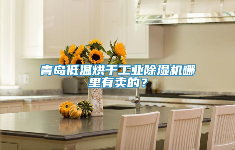 青島低溫烘干工業(yè)除濕機(jī)哪里有賣的？