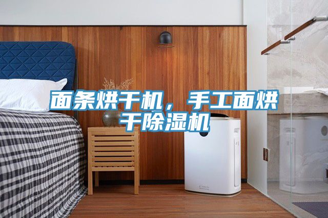 面條烘干機(jī)，手工面烘干除濕機(jī)