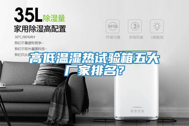 高低溫濕熱試驗(yàn)箱五大廠家排名？