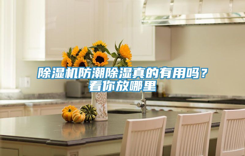 除濕機(jī)防潮除濕真的有用嗎？看你放哪里