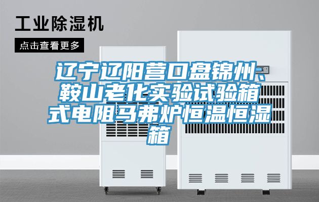 遼寧遼陽營口盤錦州、鞍山老化實(shí)驗試驗箱式電阻馬弗爐恒溫恒濕箱