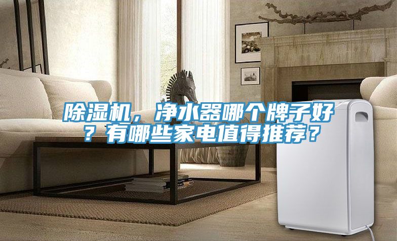 除濕機(jī)，凈水器哪個(gè)牌子好？有哪些家電值得推薦？