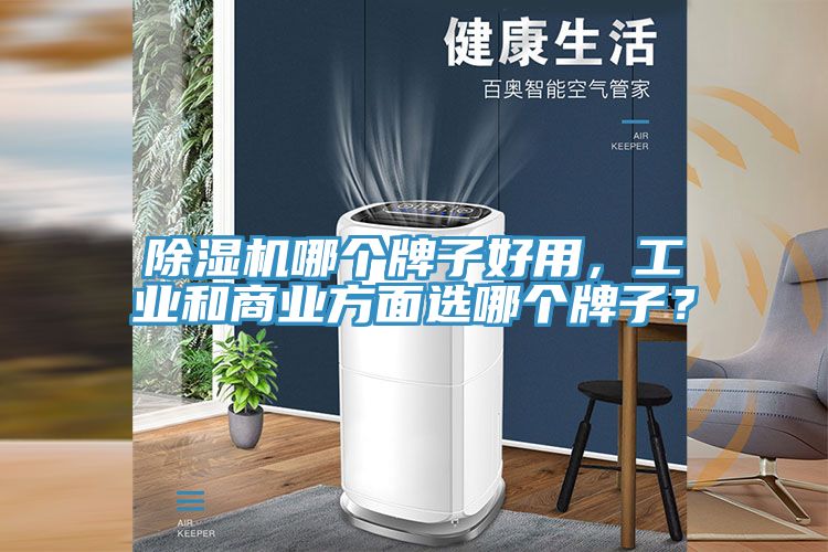 除濕機(jī)哪個(gè)牌子好用，工業(yè)和商業(yè)方面選哪個(gè)牌子？