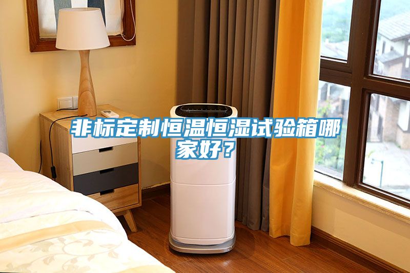 非標(biāo)定制恒溫恒濕試驗(yàn)箱哪家好？