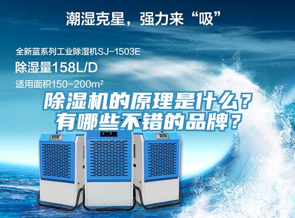 除濕機(jī)的原理是什么？有哪些不錯的品牌？