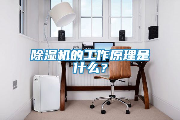 除濕機的工作原理是什么？