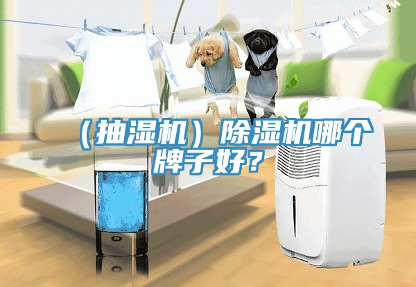 （抽濕機）除濕機哪個牌子好？