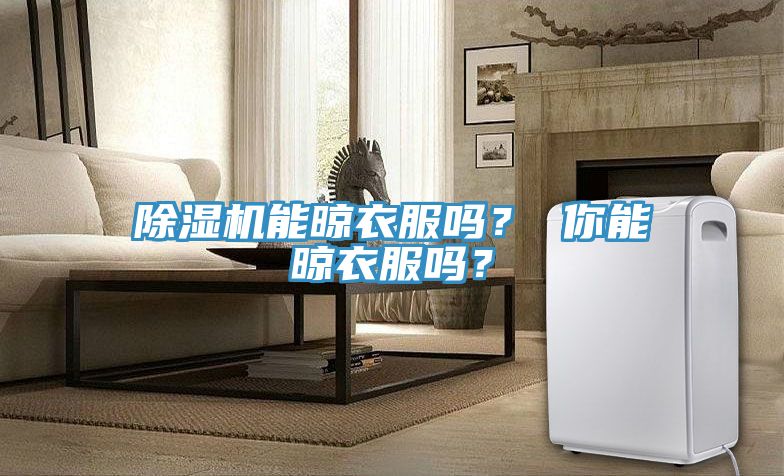 除濕機能晾衣服嗎？ 你能晾衣服嗎？