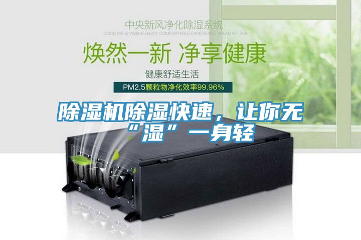 除濕機除濕快速，讓你無“濕”一身輕