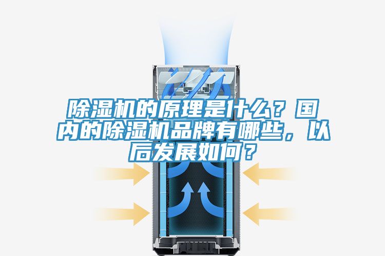 除濕機(jī)的原理是什么？國內(nèi)的除濕機(jī)品牌有哪些，以后發(fā)展如何？