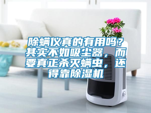 除螨儀真的有用嗎？其實不如吸塵器，而要真正殺滅螨蟲，還得靠除濕機
