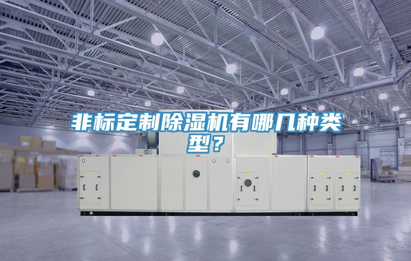 非標(biāo)定制除濕機有哪幾種類型？