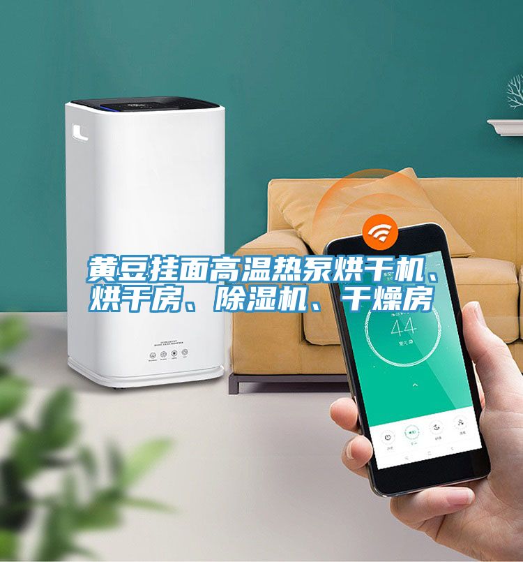 黃豆掛面高溫?zé)岜煤娓蓹C(jī)、烘干房、除濕機(jī)、干燥房