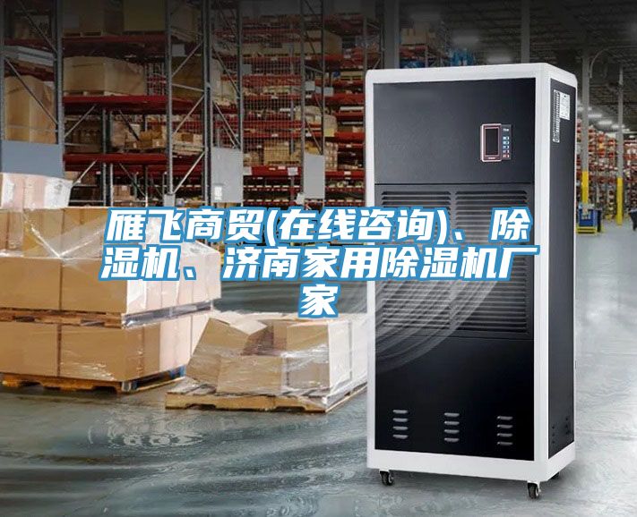 雁飛商貿(mào)(在線咨詢)、除濕機、濟南家用除濕機廠家