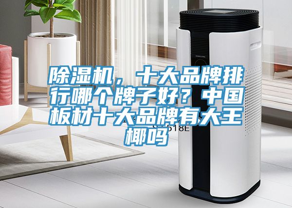 除濕機(jī)，十大品牌排行哪個(gè)牌子好？中國板材十大品牌有大王椰嗎