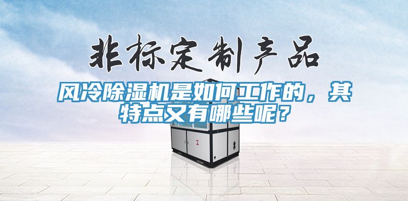 風(fēng)冷除濕機(jī)是如何工作的，其特點(diǎn)又有哪些呢？