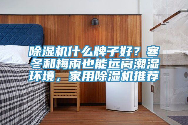 除濕機(jī)什么牌子好？寒冬和梅雨也能遠(yuǎn)離潮濕環(huán)境，家用除濕機(jī)推薦