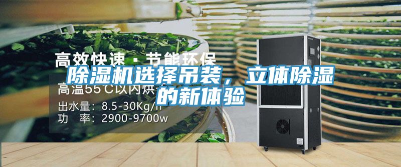 除濕機(jī)選擇吊裝，立體除濕的新體驗(yàn)