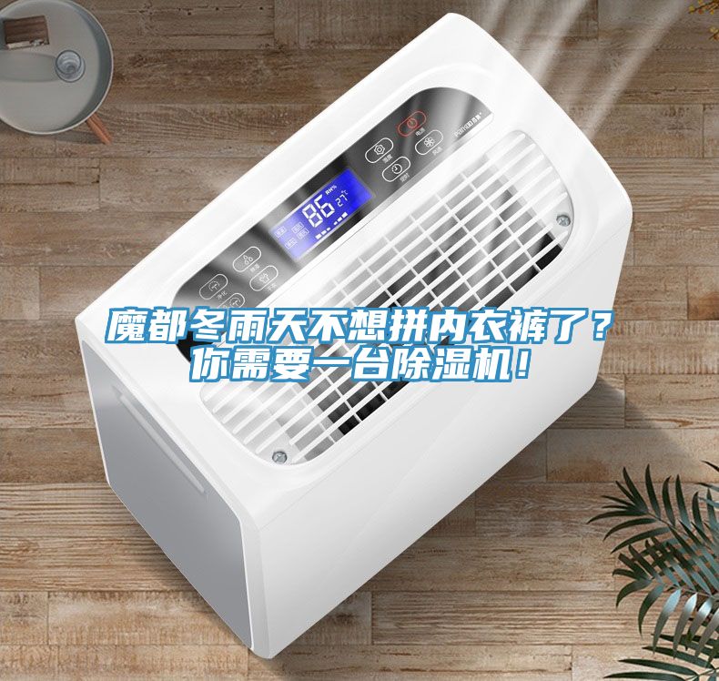 魔都冬雨天不想拼內(nèi)衣褲了？你需要一臺(tái)除濕機(jī)！