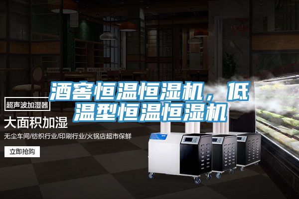 酒窖恒溫恒濕機(jī)，低溫型恒溫恒濕機(jī)