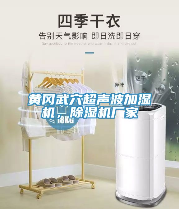 黃岡武穴超聲波加濕機，除濕機廠家