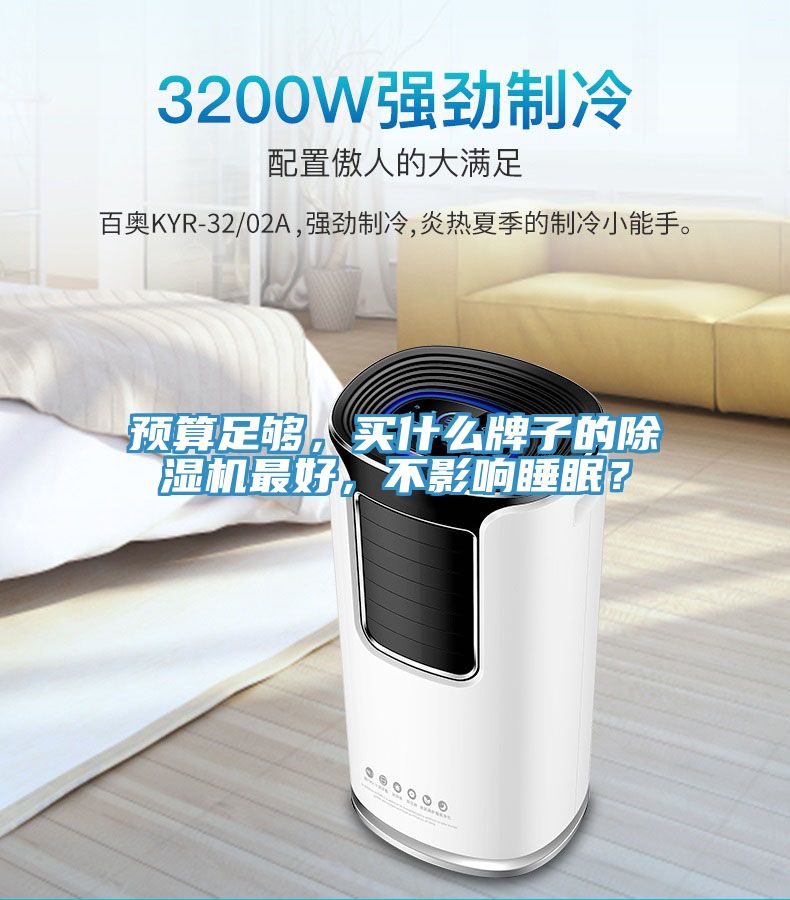 預(yù)算足夠，買什么牌子的除濕機(jī)最好，不影響睡眠？