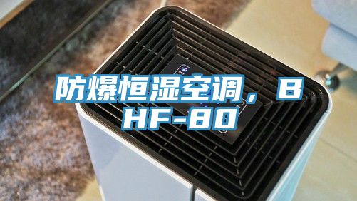 防爆恒濕空調，BHF-80