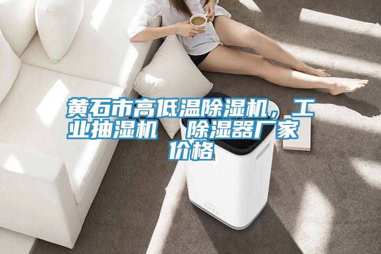 黃石市高低溫除濕機(jī)，工業(yè)抽濕機(jī)  除濕器廠家 價格