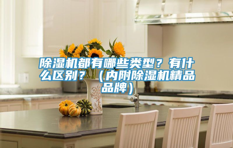 除濕機(jī)都有哪些類型？有什么區(qū)別？（內(nèi)附除濕機(jī)精品品牌）