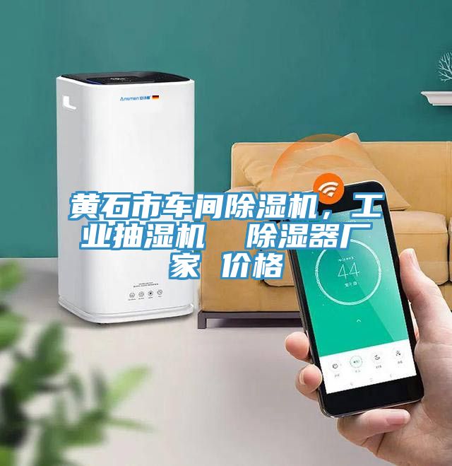 黃石市車間除濕機(jī)，工業(yè)抽濕機(jī)  除濕器廠家 價格