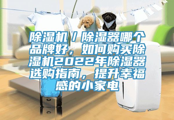 除濕機／除濕器哪個品牌好，如何購買除濕機2022年除濕器選購指南，提升幸福感的小家電