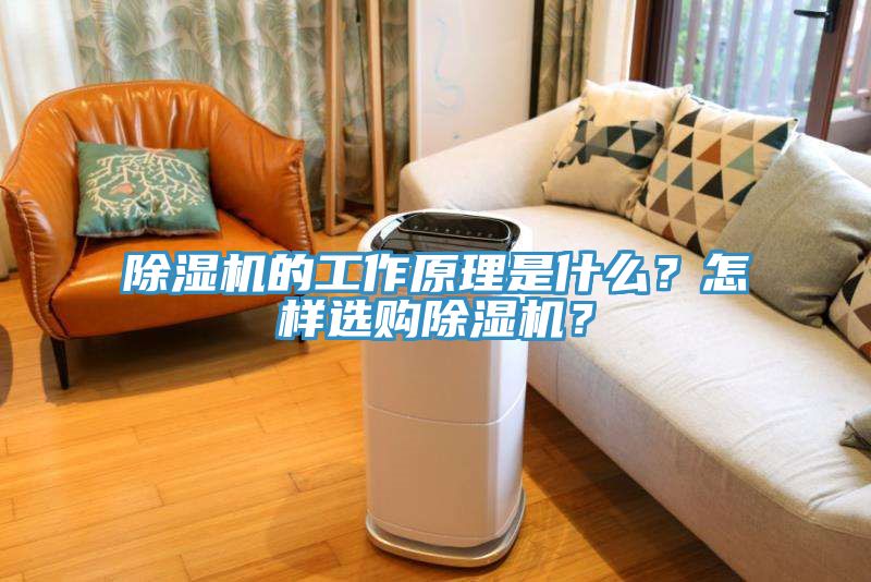 除濕機的工作原理是什么？怎樣選購除濕機？