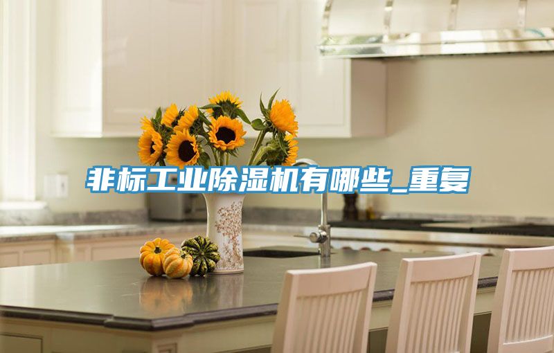 非標工業(yè)除濕機有哪些_重復(fù)