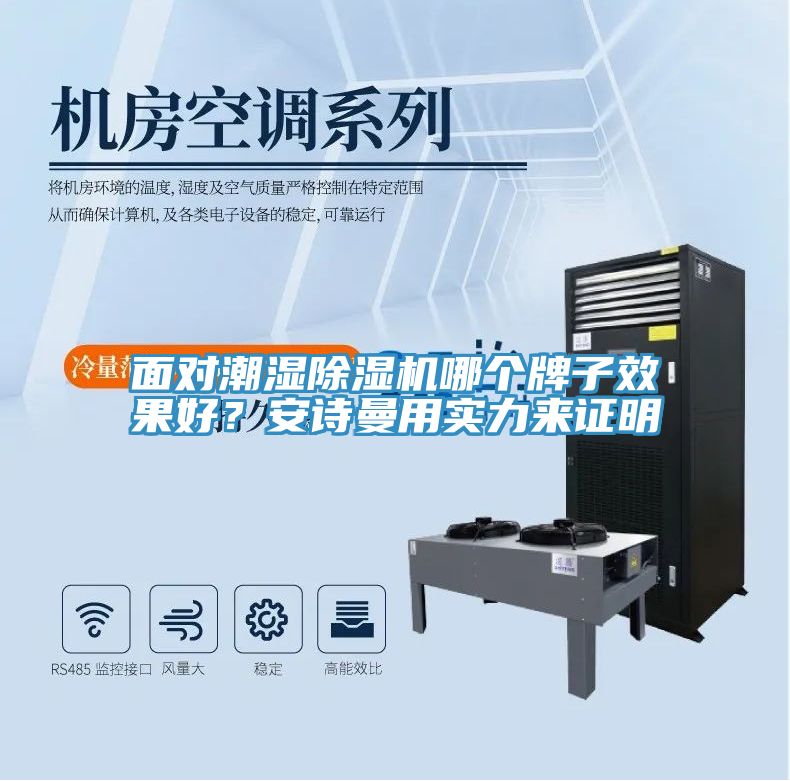 面對潮濕除濕機哪個牌子效果好？安詩曼用實力來證明