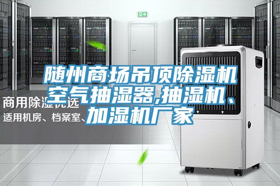 隨州商場吊頂除濕機空氣抽濕器,抽濕機、加濕機廠家